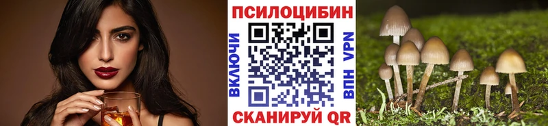Купить закладки  Магадан  Псилоцибиновые грибы мухоморы 